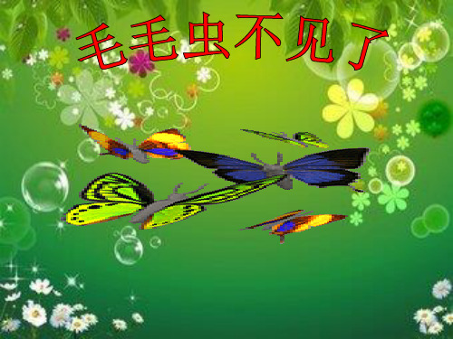 四年级下科学优秀课件-15毛毛虫不见了  ｜冀教版  (13页PPT)