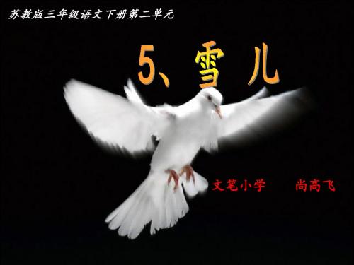苏教版三年级语文下册第5课《雪儿》完整版