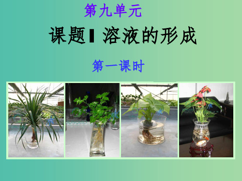 九年级化学下册 第九单元 课题1 溶液的形成课件1 新人教版