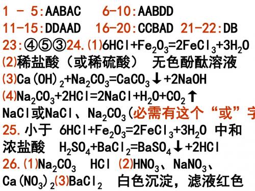 山东省滨州市邹平实验中学学年九年级化学酸碱盐练习题