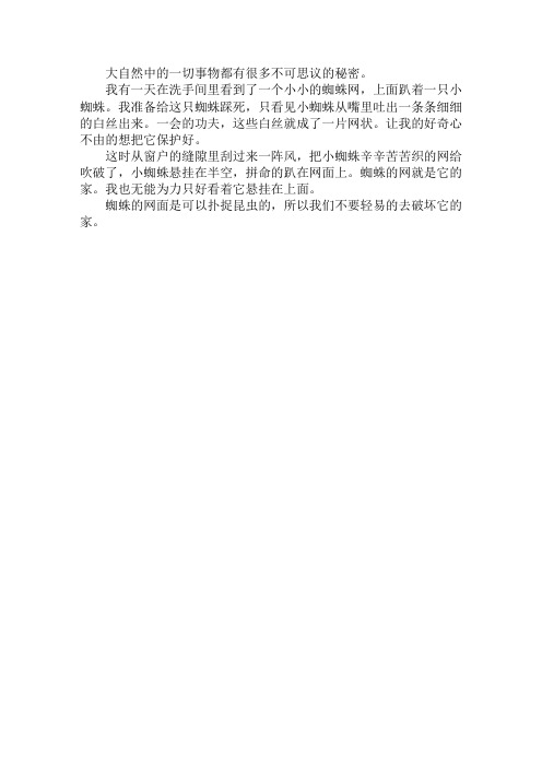 三年级观察动物作文 蜘蛛的秘密