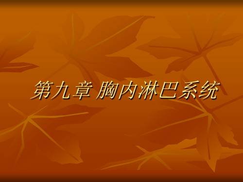 第九章 胸内淋巴系统