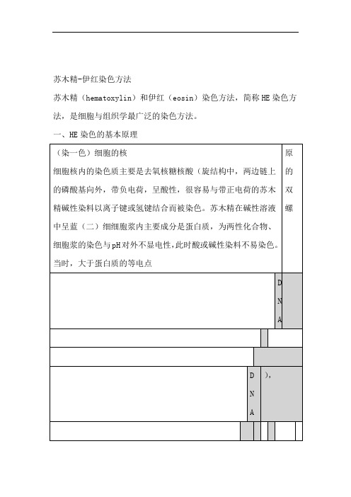HE染色原理