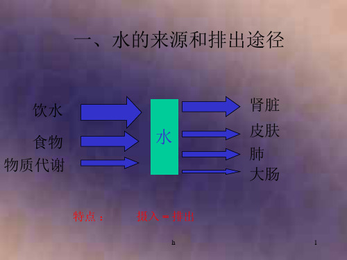 人体稳态的平衡和调节  旧人教版-PPT课件