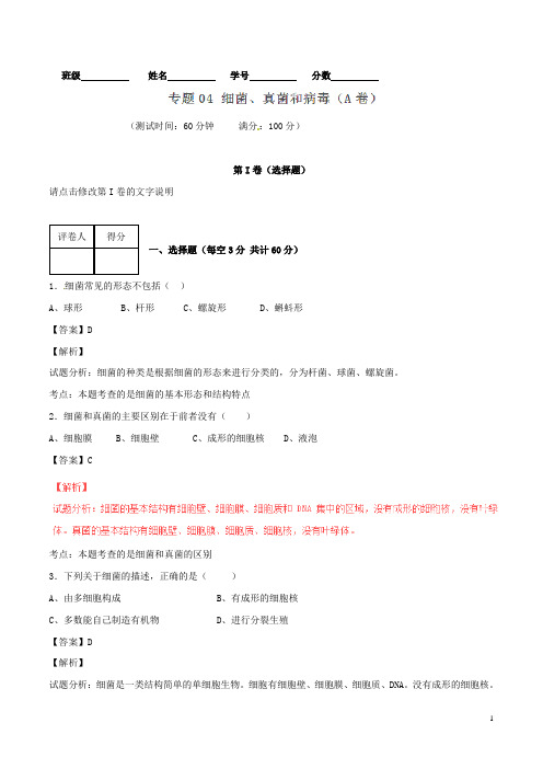 八年级生物上册 专题04 细菌、真菌和病毒同步单元双基双测(A卷)(含解析) 新人教版