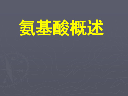 氨基酸概述
