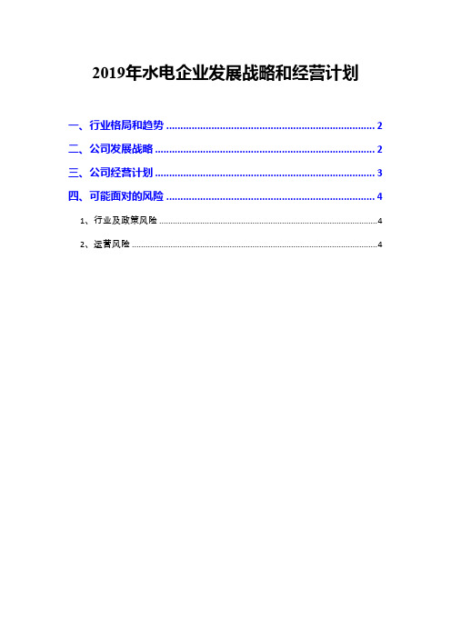 2019年水电企业发展战略和经营计划
