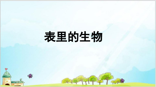 六年级下册语文课件-表里的生物-人教部编版