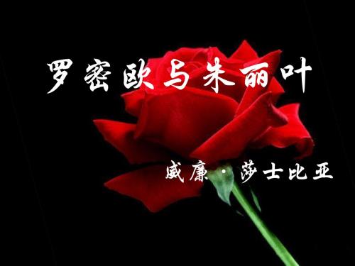 苏教版高二语文必修五第二专题《此情可待成追忆》---《罗密欧与朱丽叶》教学课件 (共42张PPT)