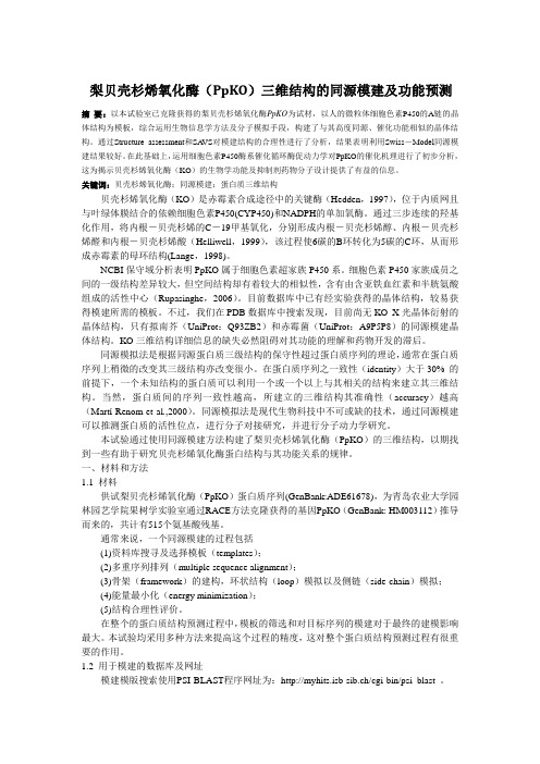 PpKO的同源建模101009
