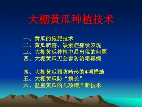 大棚黄瓜种植技术1