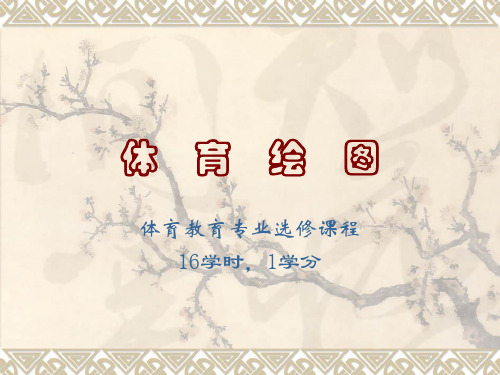 体育绘图