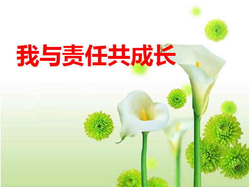 《我与责任共成长》PPT[课件整理]