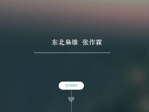 张作霖