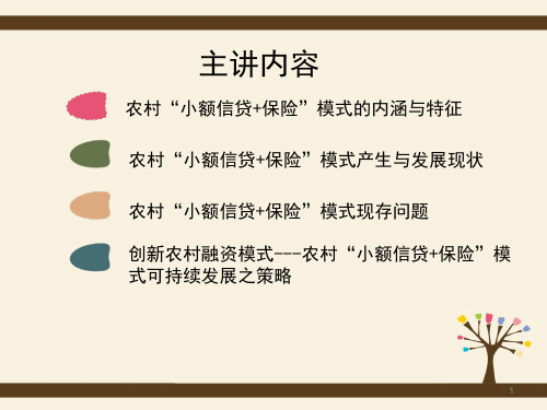 农村小额信贷保险PPT课件