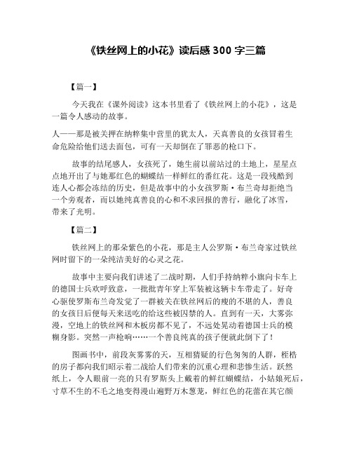 《铁丝网上的小花》读后感300字三篇