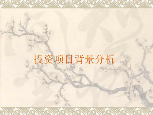 投资项目背景分析课件.ppt