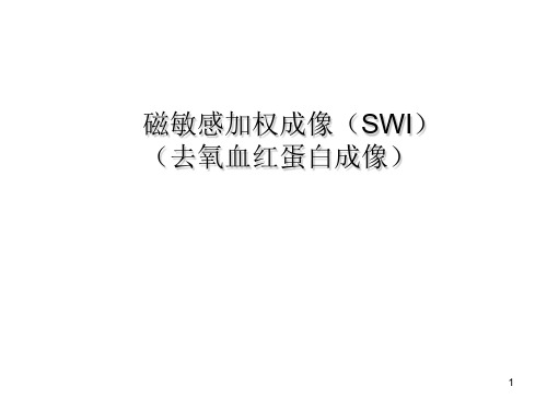 磁敏感加权成像(SWI)PPT参考幻灯片