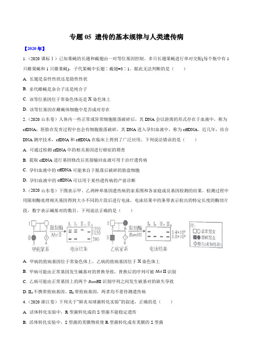 高中生物高考专题 遗传的基本规律与遗传病-十年(2011-2020)高考真题生物分项详解(原卷版)