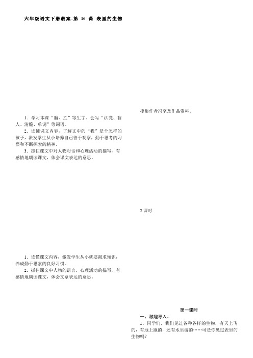 统编版人教版六年级语文下册教案-第16课 表里的生物