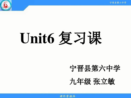 Unit 6 复习课 课件-2021-2022学年人教版九年级英语全册