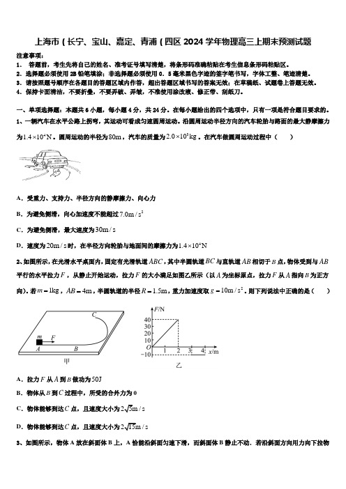 上海市(长宁、宝山、嘉定、青浦(四区2024学年物理高三上期末预测试题含解析