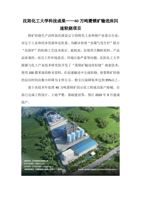 沈阳化工大学科技成果——40万吨菱镁矿输送床闪速轻烧项目