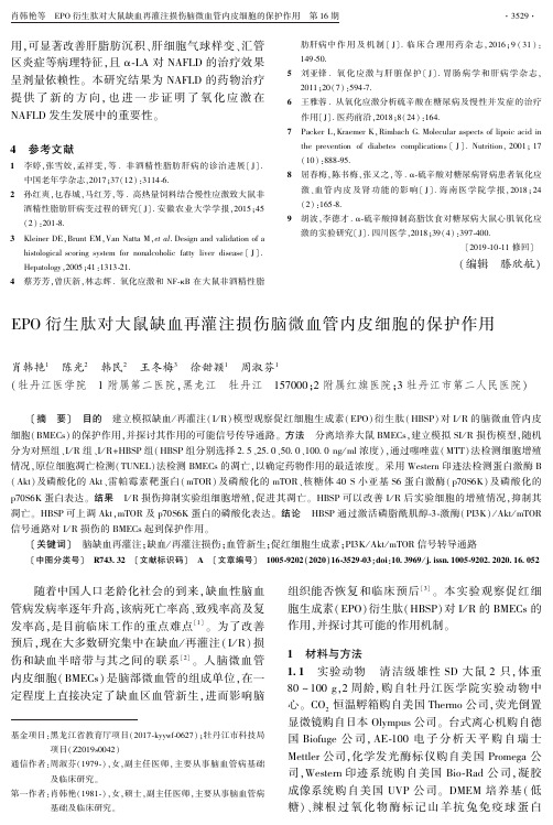EPO衍生肽对大鼠缺血再灌注损伤脑微血管内皮细胞的保护作用