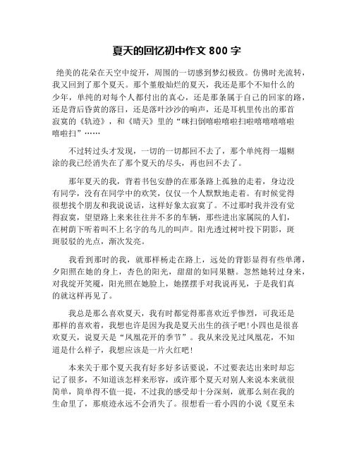 夏天的回忆初中作文800字