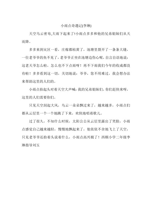 小雨点奇遇记李琳-作文
