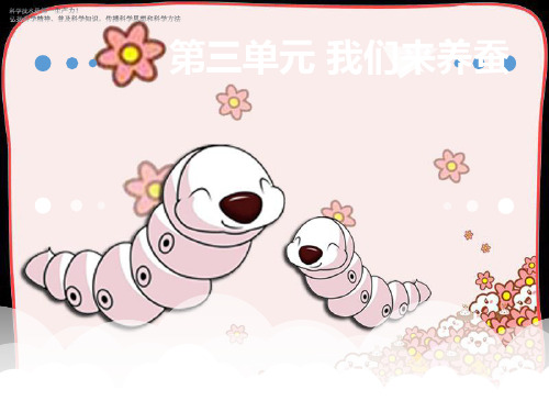 四年级下册科学课件《2.1. 我们来养蚕》 苏教版
