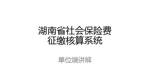 (2020)湖南省社会保险费申报测算管理系统