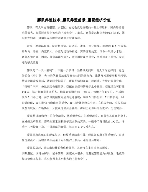 麝鼠养殖技术_麝鼠养殖前景_麝鼠经济价值