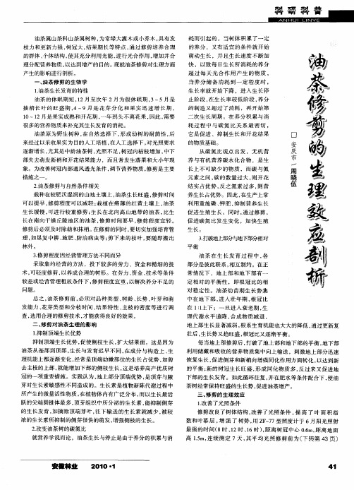 油茶修剪的生理效应剖析