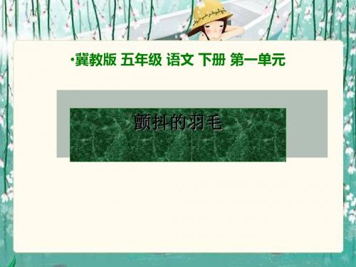 《颤抖的羽毛》PPT课件2