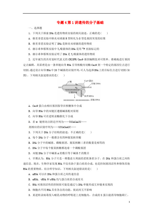 高考生物二轮复习 专题4 遗传、变异和进化 第1讲 遗传的分子基础检测
