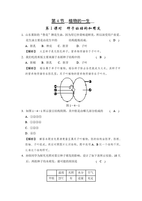 2020-2021学年浙教版七年级科学下册  1.4第1课时-种子的结构和萌发
