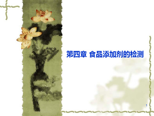 食品添加剂的检测PPT课件