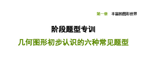 阶段题型专训几何图形初步认识的六种常见题型-北师大版七年级数学上册点拨训练习题课件(共11张PPT)
