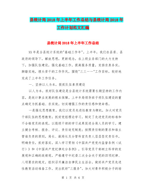 县统计局2018年上半年工作总结与县统计局2018年工作计划范文汇编.doc