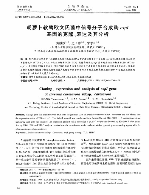 胡萝卜软腐欧文氏菌中信号分子合成酶expI基因的克隆、表达及其分析
