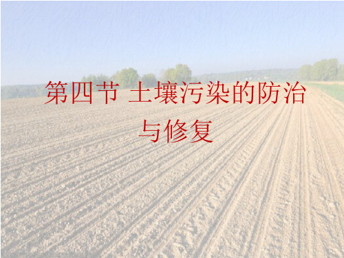 第四节 土壤污染的防治与修复