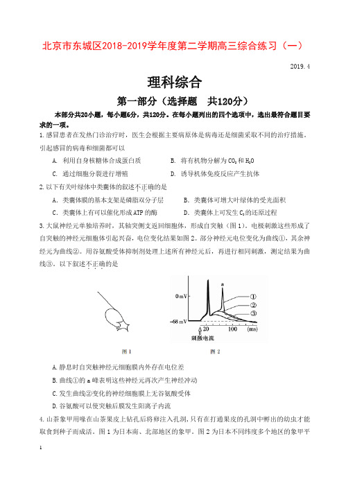 北京市东城区2018学年度第二学期高三综合练习(一)理综生物试题(含答案)-精品