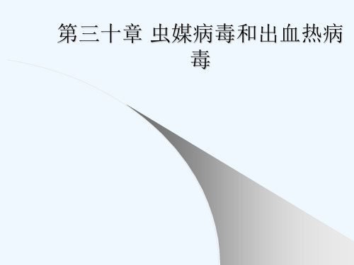 第三十章 虫媒病毒和出血热病毒[可修改版ppt]