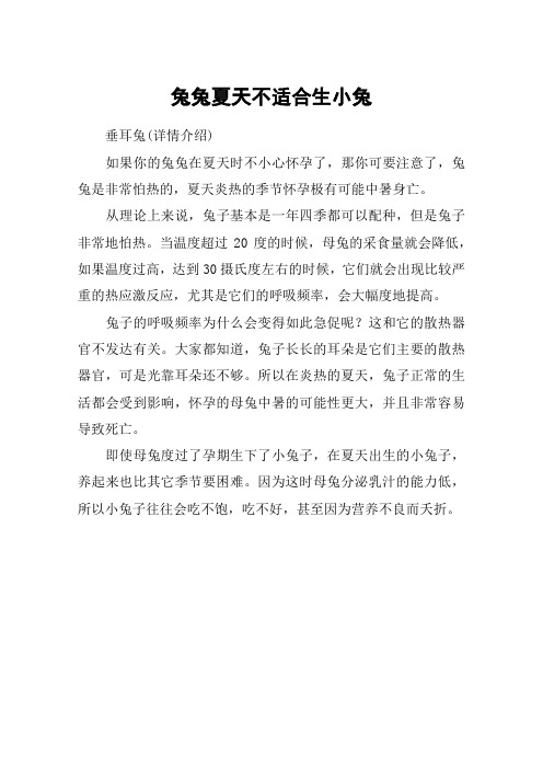 兔兔夏天不适合生小兔