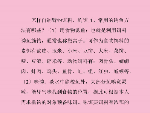 怎样自制鱼饵ppt课件