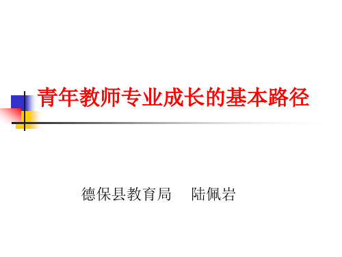 青年教师专业成长的基本路径