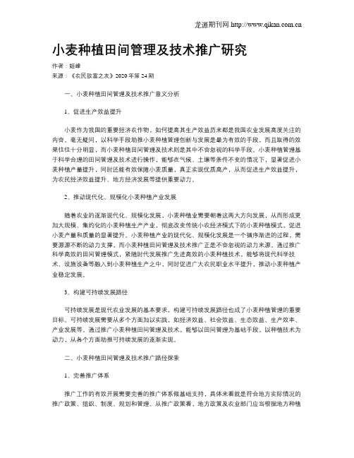小麦种植田间管理及技术推广研究