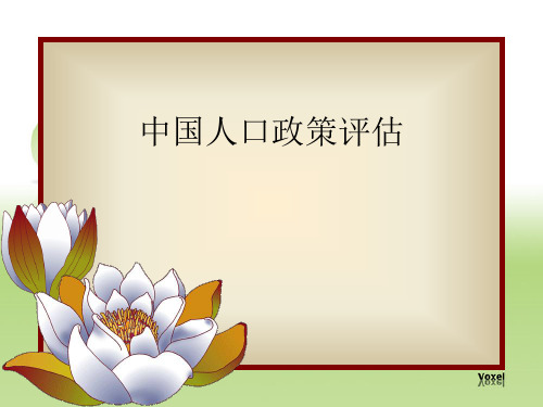 人口政策评估PPT课件