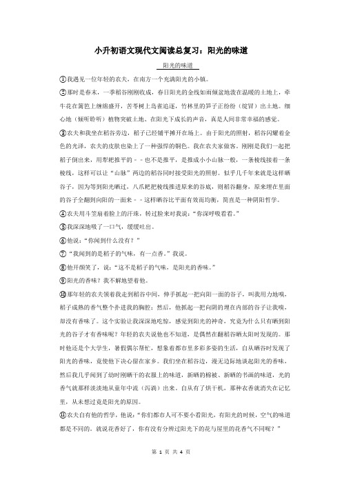 小升初语文现代文阅读总复习：阳光的味道